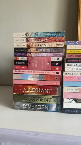 LIVROS DIVERSOS (20,00 cada)