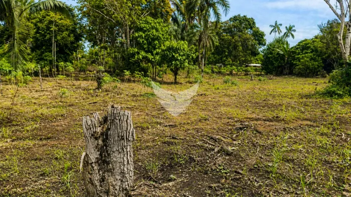 Chácara à Venda Bairro Ronaldo Aragão