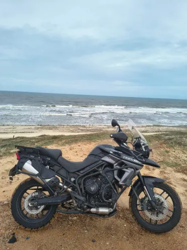 Tiger 800 XRX
