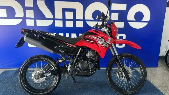 XTZ 250 LANDER 249cc/LANDER BLUEFLEX/ABS 2017/2017