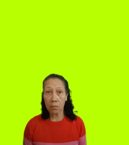 Ofereço meus Serviços como Diarista