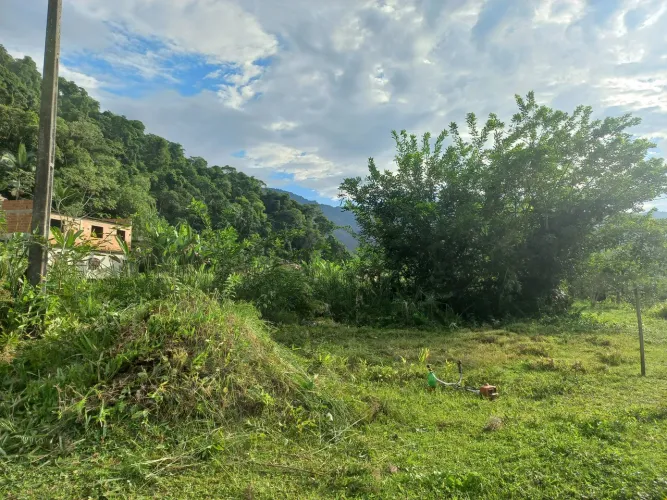 Terreno no sertão do taquari em Paraty