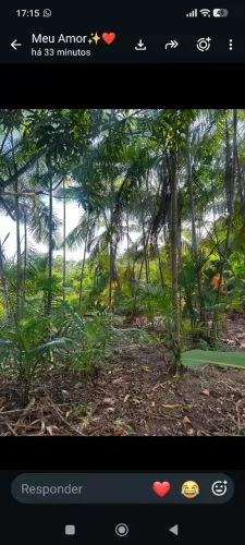 VENDO LINDO SÍTIO TODO FRUTIFERO NO TAUÁ