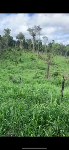 Fazendonha de 42 alqueiro em anapu-pa