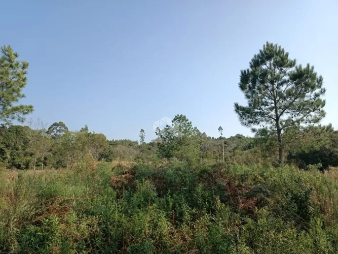 Área de Terras com 48.946,99 m² à Venda por R$ 330.000,00