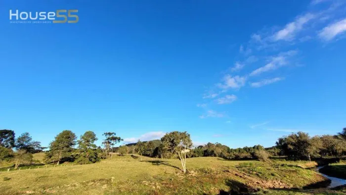 Terreno à venda, 59600 m² por R$ 4.700.000,00 - São Bento do Sul - São Bento Do Sul/SC