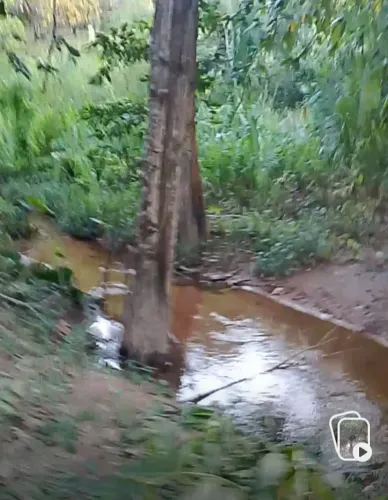 Terreno com riacho