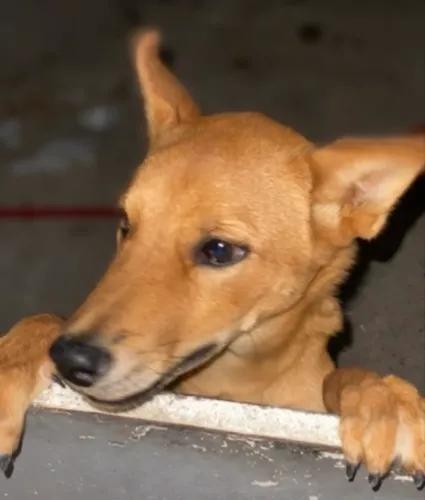 Doação 
