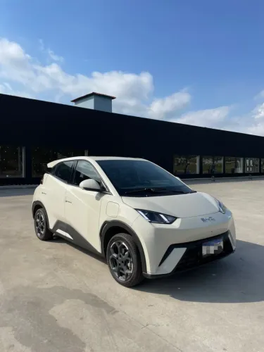 BYD Dolphin Mini (Elétrico) 2026