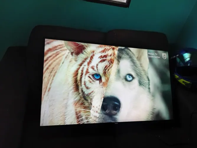 Tv PHILIPS 43 ( Sem controle )