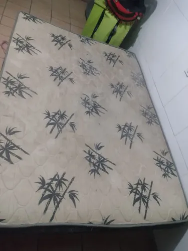 Cama