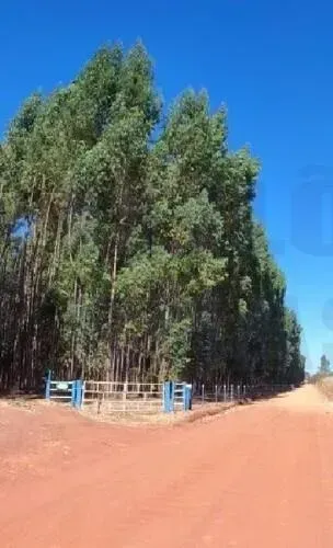 FAZENDA ALEGRIA I - SILVÂNIA -GO