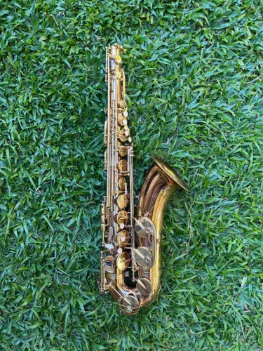 Sax tenor Shelter