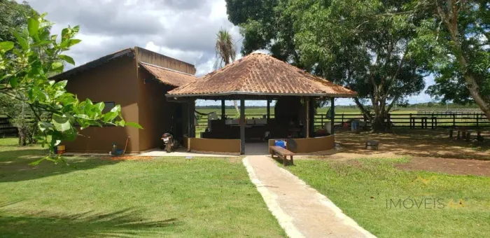 (Vende-se) FAZENDA com 400ha por R$ 7.000.000,00 - BR 319 Porto Velho/RO