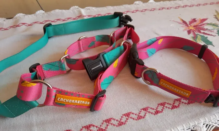 COLEIRA PARA CACHORRO,MARCA CACHORREIROS