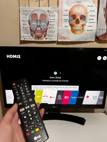 Monitor LG SmartTV lcd led 24 polegadas