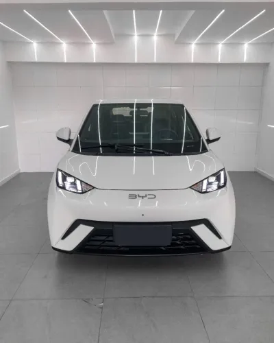 BYD Dolphin Mini (Elétrico) 2025