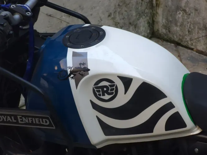 Himalayan 411