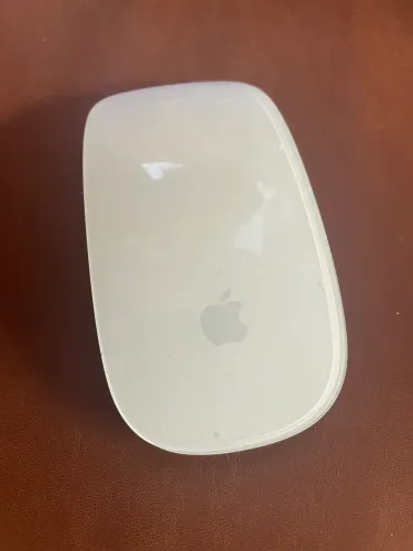 Apple Magic Mouse 
