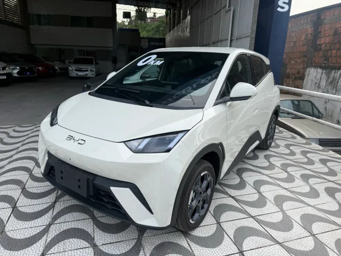 BYD Dolphin Mini (Elétrico) 2027