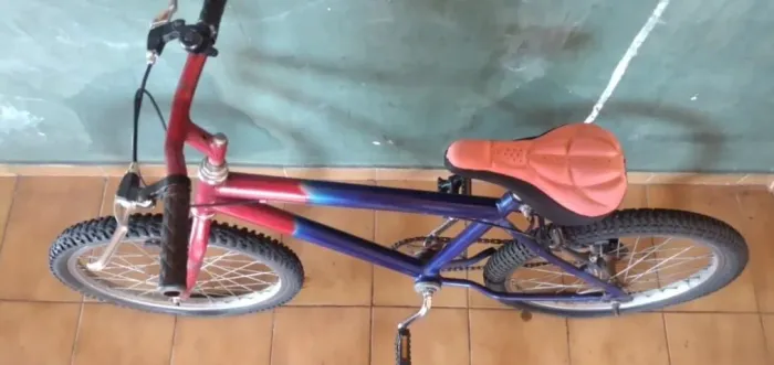 Bicicleta Infantil Aro 20
