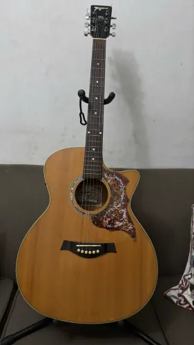 Violão Tagima Woodstock