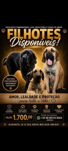 Filhotes de fila brasileiro