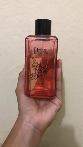 Perfume Phebo