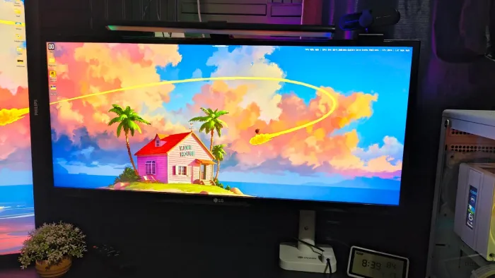 Monitor LG ultrawide 29 LG 29um69g-B