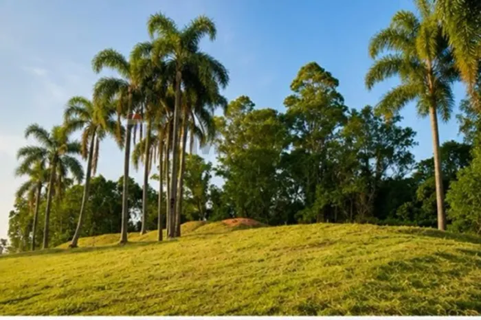 Oportunidade Imperdível em Garibaldi