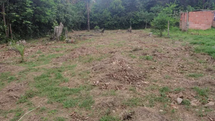 Terreno 15 por 50