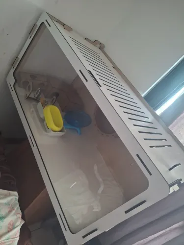 Terrario de madeira mdf para hamster ou porquinho da india