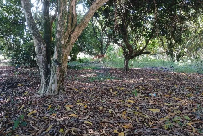 TERRENO PARA CHÁCARA À VENDA NO PORTAL DE PIRAPORA