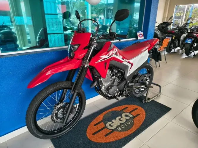 HONDA XR 300L TORNADO 2024/2025