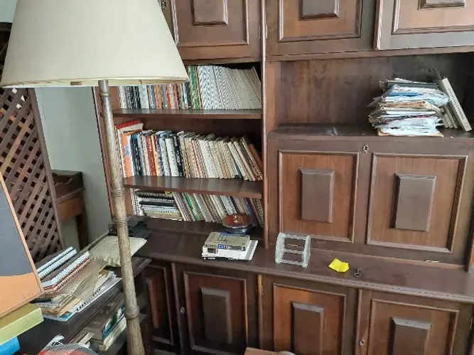 DOO BIBLIOTECA COM 300 LIVROS, ROMANCES, COLEÇÕES, LIVROS DE PSICANALISE