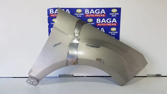 Paralama Ecosport 2013 2014 2015 2016 2017 Direito BG966