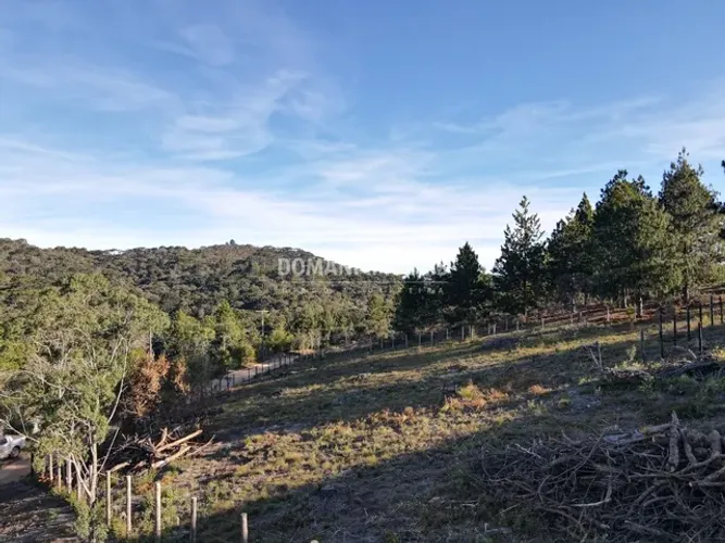 Oportunidade Única de Terreno à Venda na Região do Alto da Boa Vista - Campos do Jordão/SP
