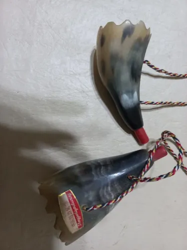 Shofar 