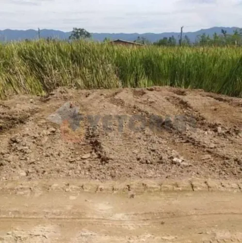 Terreno à venda, 144 m² por R$ 95.000,00 - Balneário dos Golfinhos - Caraguatatuba/SP