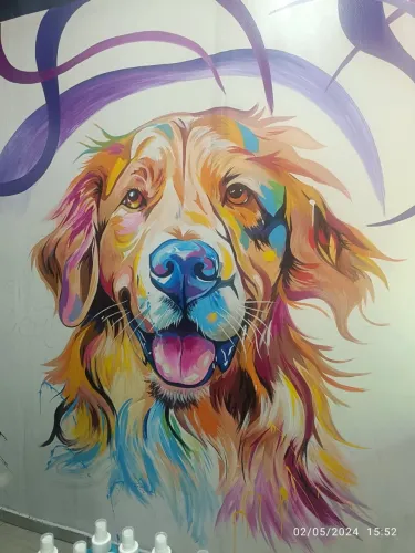 Pintura de Arte e Grafites em Fachadas