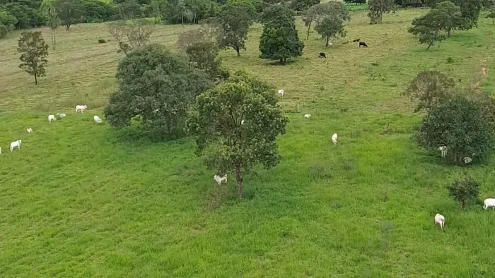 Sítio próximo do prata sentido campina verde 