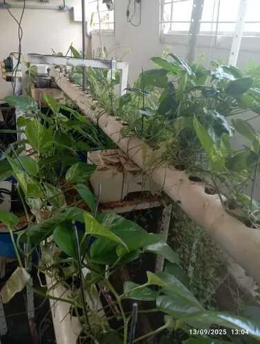 EQUIPAMENTO DE AQUAPONIA