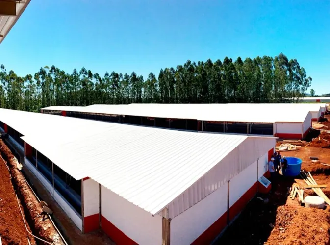 Aviários Barracão Confinamento 