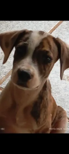 Doação responsável 