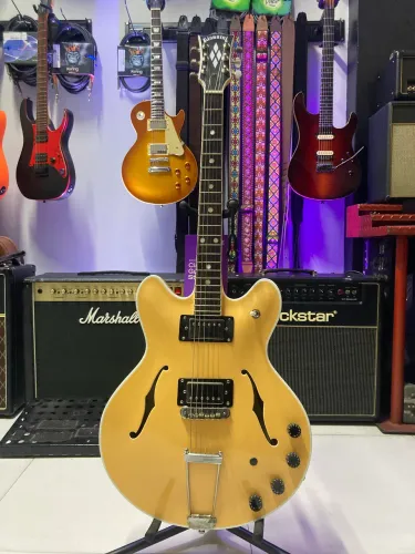 Guitarra Giannini semi acústica