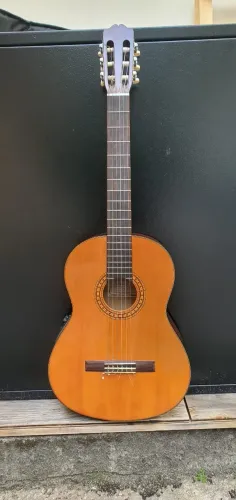 Violão eletroacústico Takamine G116 com cordas de nylon