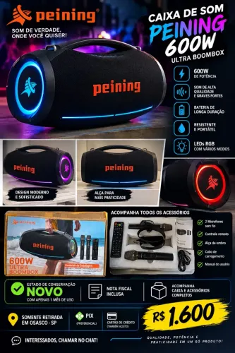 Caixa de som Peining S121