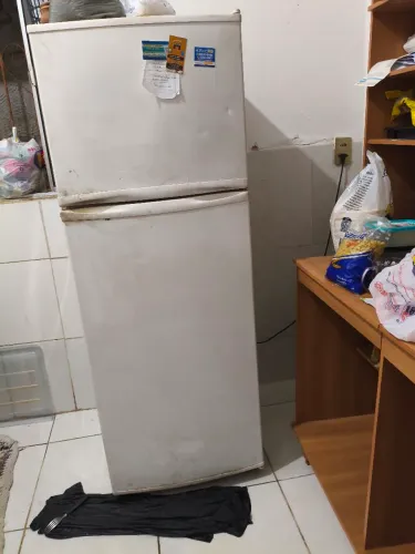 Geladeira Electrolux Duplex DC33
