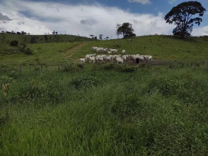 OPORTUNIDADE. Fazenda com 5 dormitórios à venda, 4985200 m² por Rural - Guaratinguetá/SP