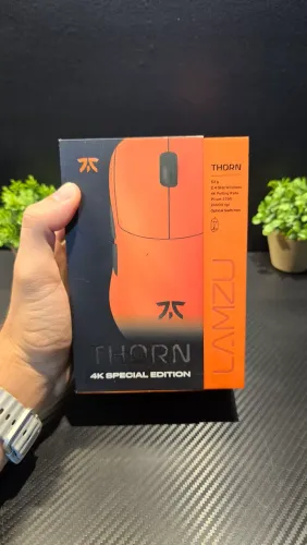 Lamzu Thorn Fnatic
